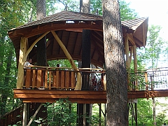 100 Longwood Gardens [2008 August 23]